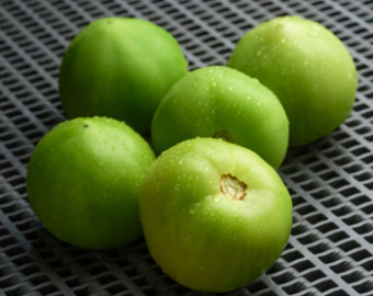 green tomatoes in wholesale produce