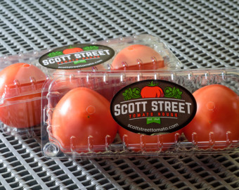 fresh tomatoes from Scott Street Tomato House!